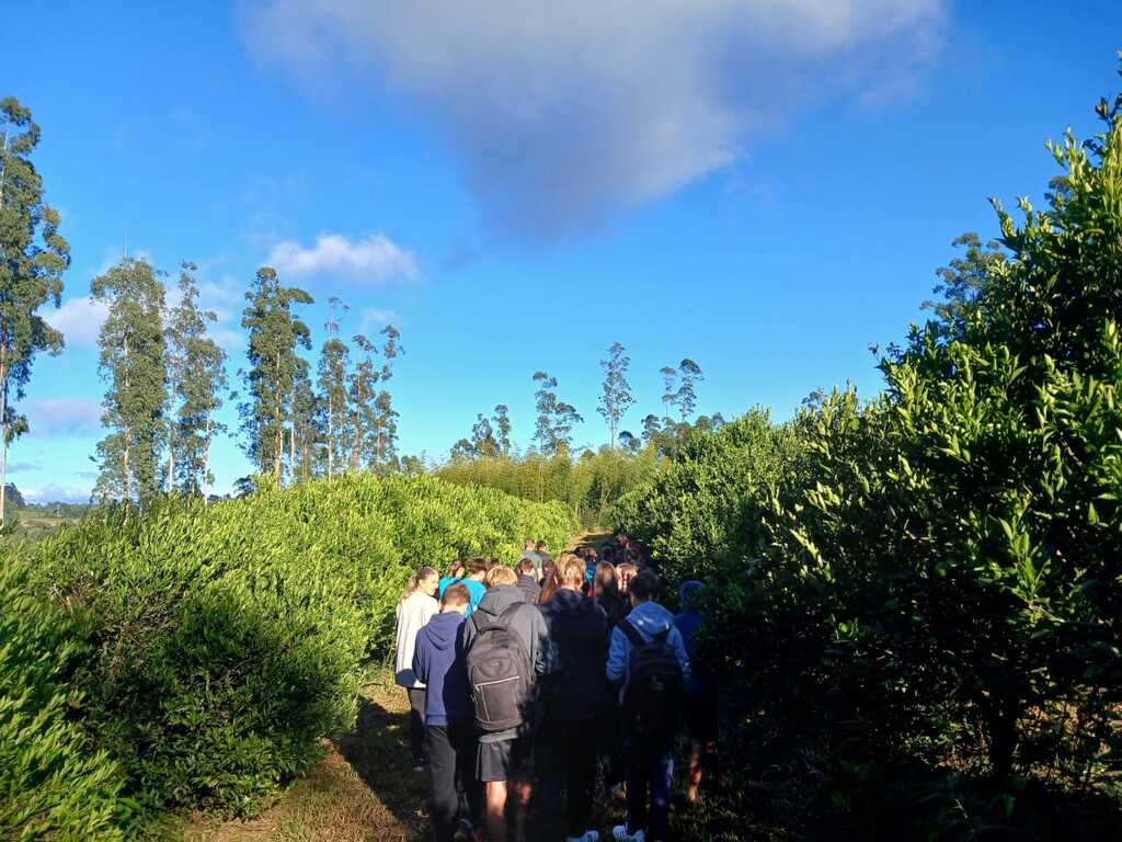 Alunos de escola municipal de Santa Terezinha visitam pomar como parte de projeto ambiental