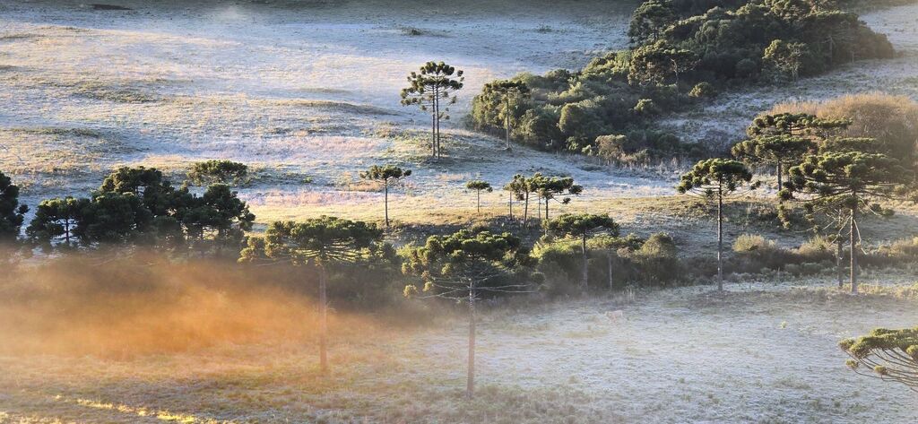 Com geada no amanhecer desta terça-feira, Serra Catarinense registra a temperatura mais baixa do ano