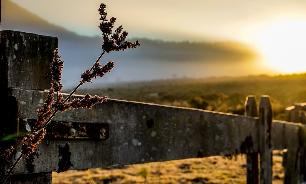 Tempo segue firme com a presença do frio no amanhecer