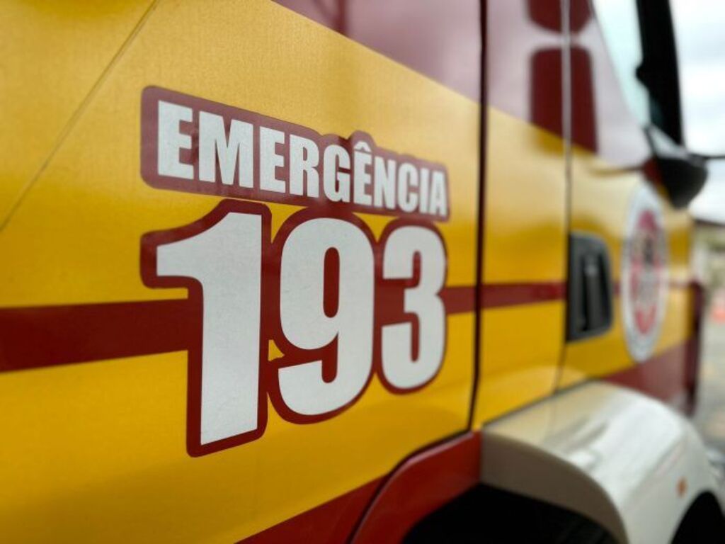Jovem fica ferido após ser atingido por árvore durante corte de eucaliptos em Salete