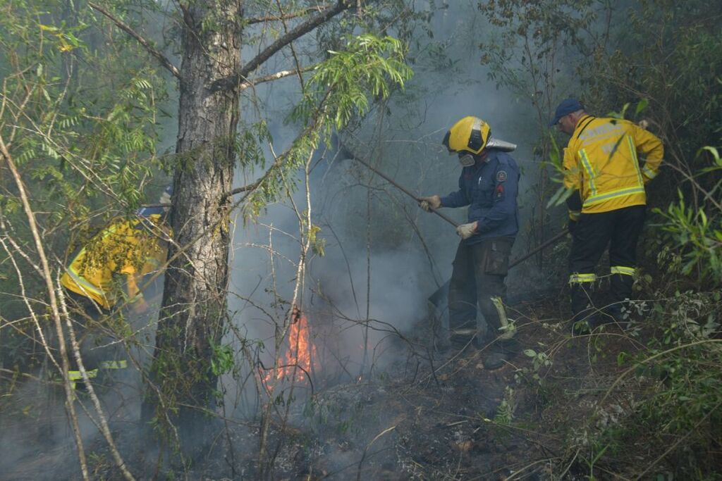 Tempo seco gera preocupação com incêndios em vegetação no estado e bombeiros alertam para para os principais cuidados