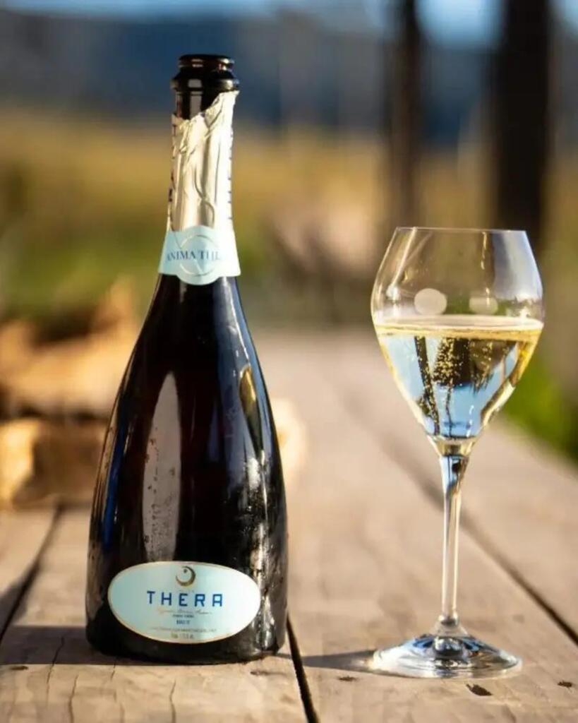 Vinhos de Altitude de Santa Catarina estão na lista dos melhores do Brasil
