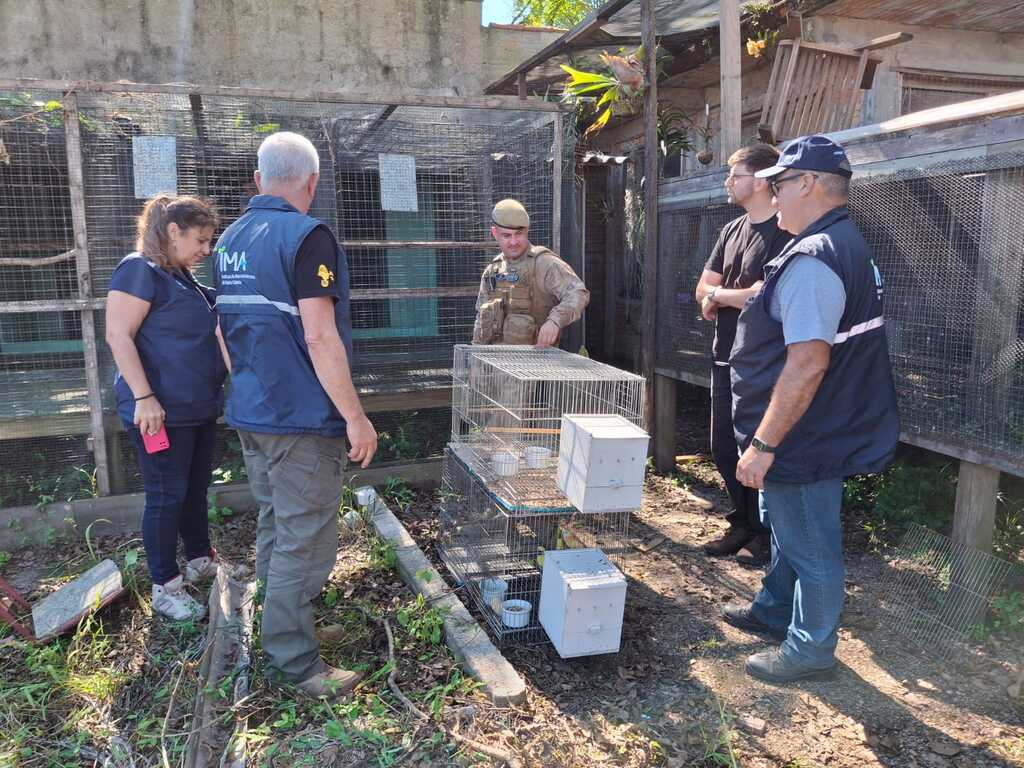 Mais de 230 animais silvestres são resgatados em operações de fiscalização em Santa Catarina