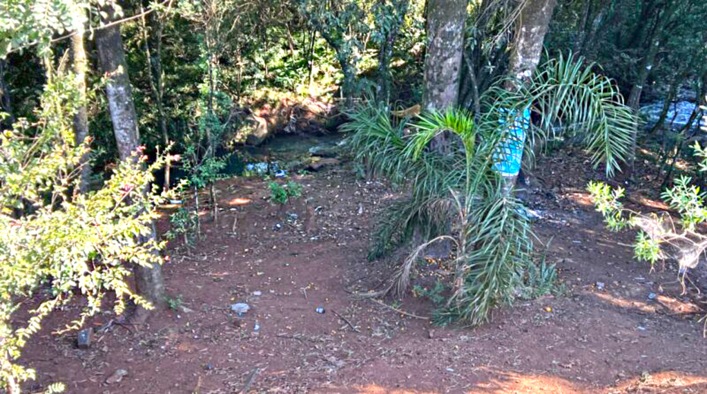 Prefeitura de Campos Novos retira barracas improvisadas às margens da BR-282 e realoca pessoas em situação de rua