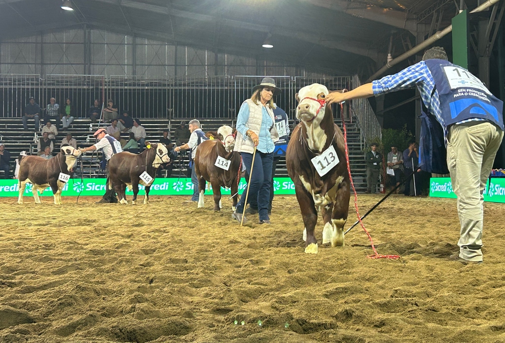 Brasil reafirma protagonismo global no 9º Congresso Mundial Braford