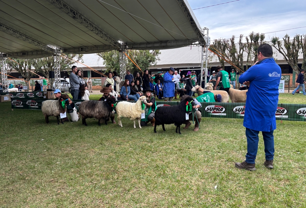 Fenovinos registra número recorde de animais participantes