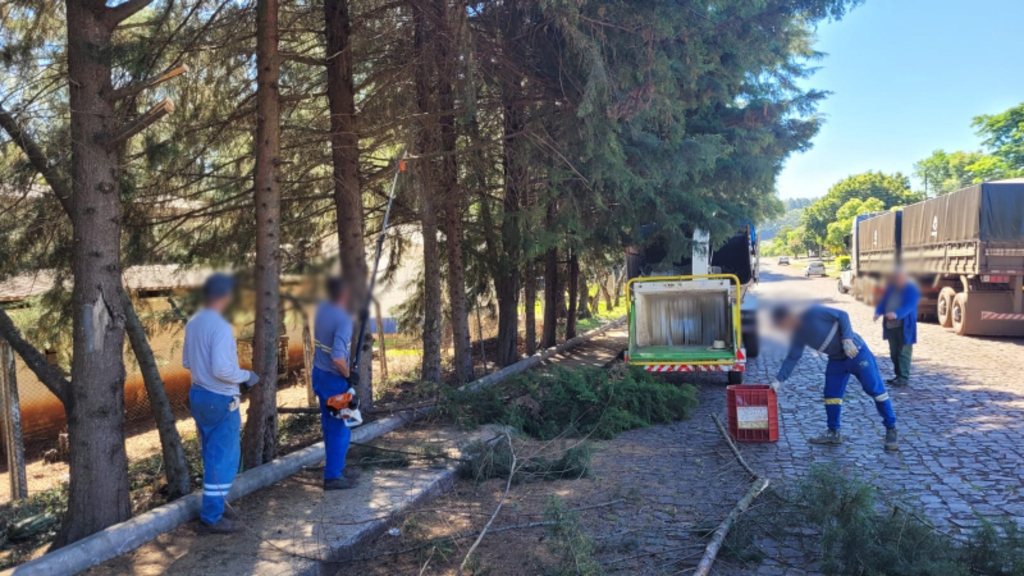 Divulgado cronograma de recolha e trituração de galhos em São Miguel do Oeste