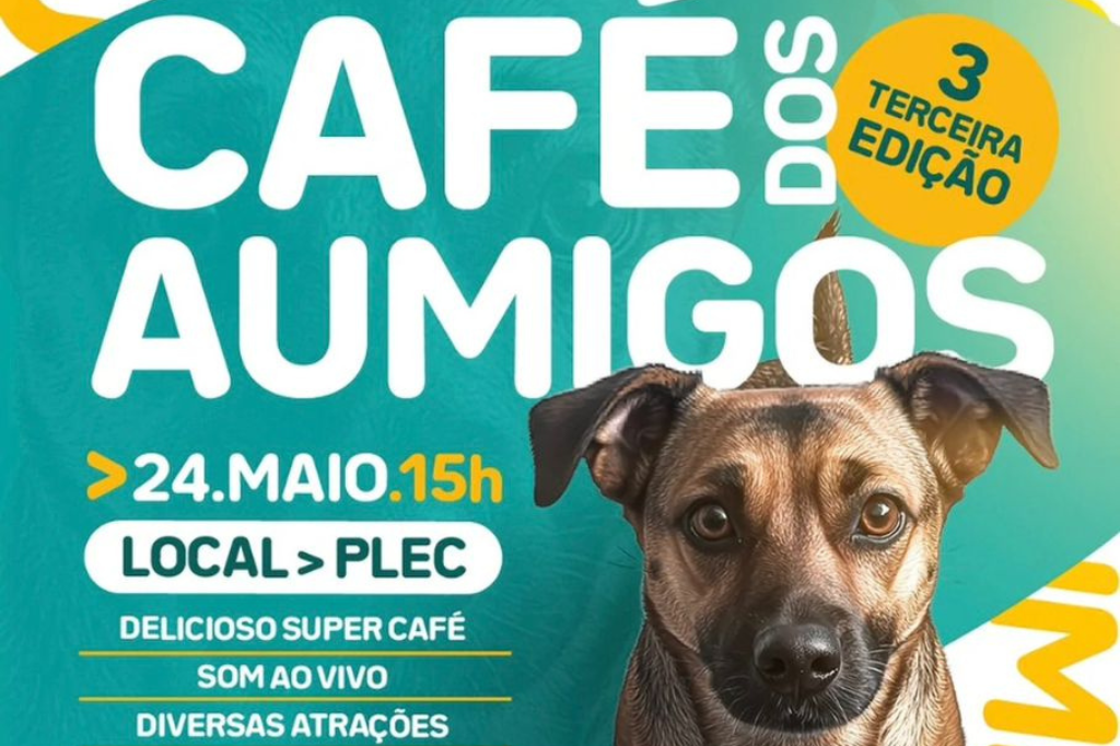 Imagem principal artigo