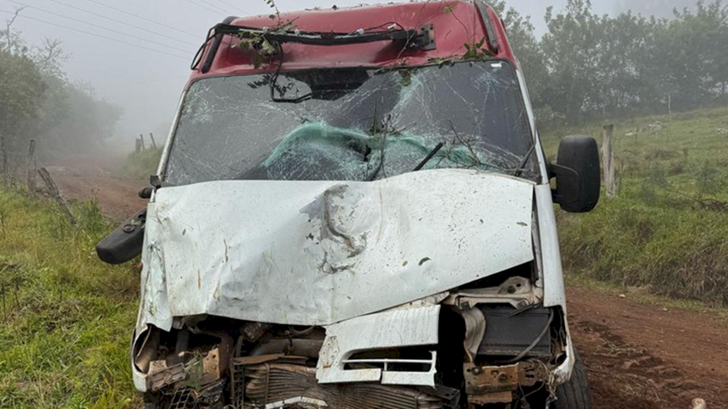Ambulância falsa carregava contrabando, foge e colide em árvore