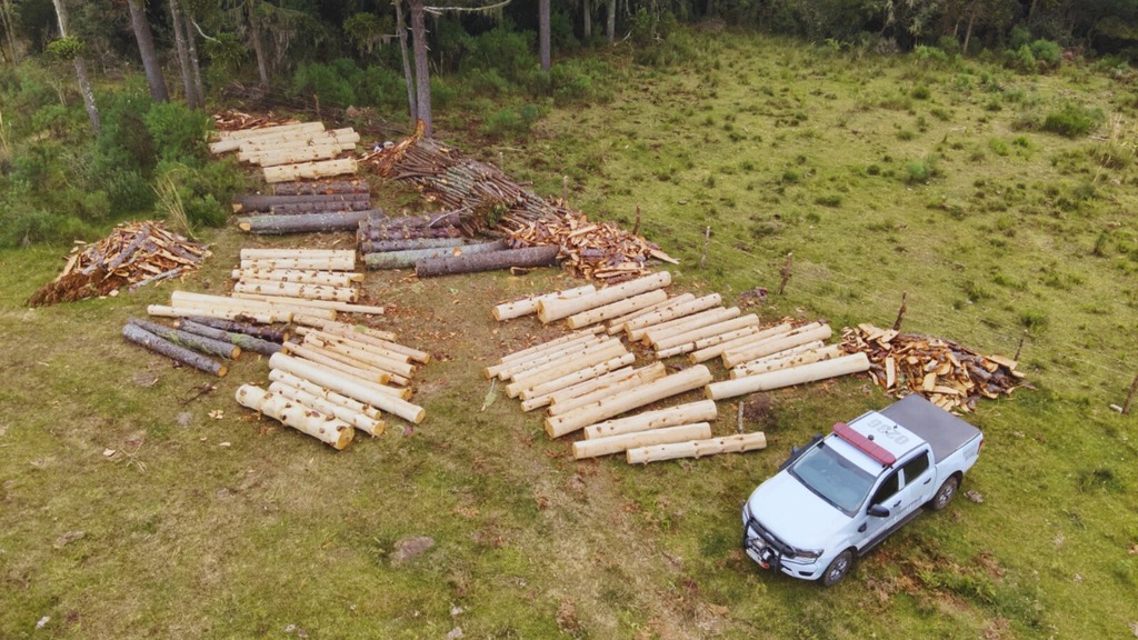 Polícia Militar Ambiental apreende mais de 40 metros cúbicos de madeira nativa em São Joaquim