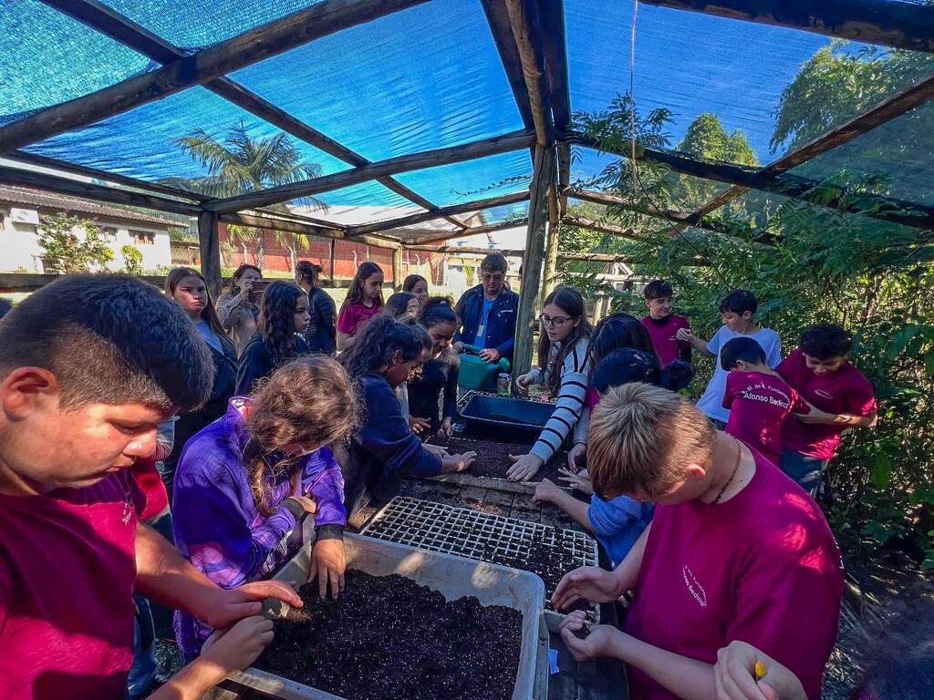 ESCOLA DE MAMPITUBA AFONSO BEDINOT LANÇA O PROJETO  “VIVEIRO DE MUDAS DE HORTALIÇAS”