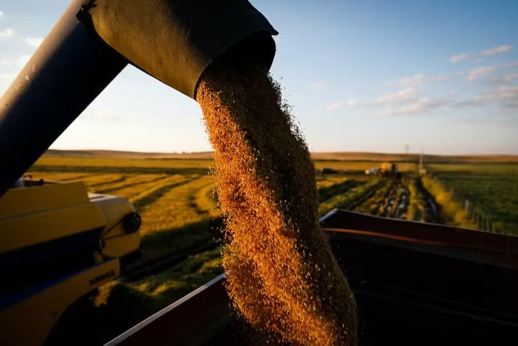Colheita do arroz atinge 95% no Rio Grande do Sul