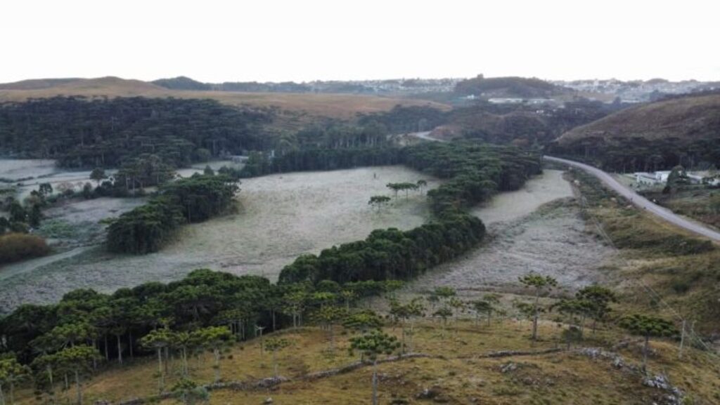 Semana começa com geada e temperatura negativa
