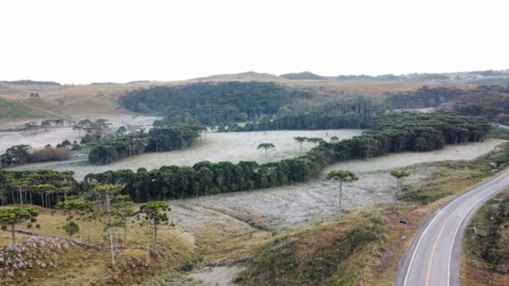 Semana começa com geada e temperatura negativa