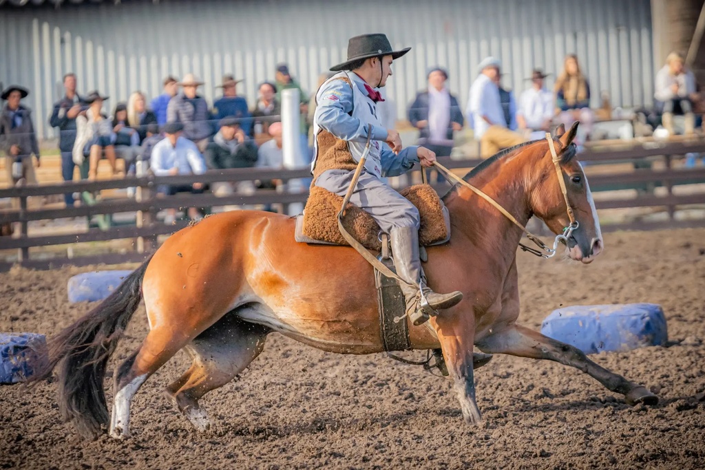 Cavalos de Bagé são destaque em classificatória no Uruguai