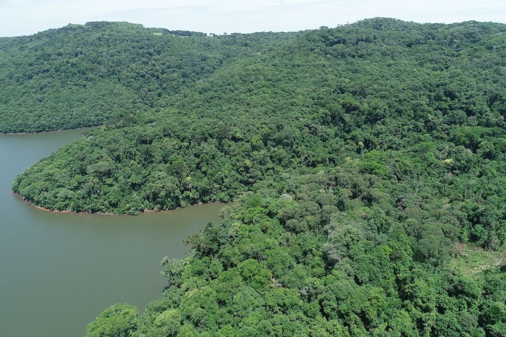 Pesquisa nacional aponta que Santa Catarina reduziu em 12% o desmatamento da Mata Atlântica