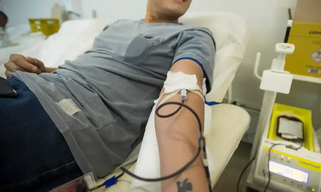 DOAÇÃO DE SANGUE