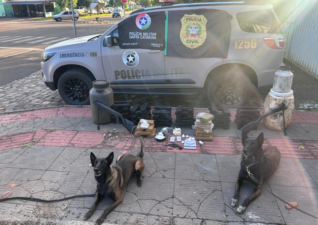 Polícia prende suspeito de tráfico de drogas e apreende drogas e armas