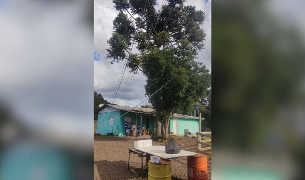  - IMAGEM DIVULGAÇÃO