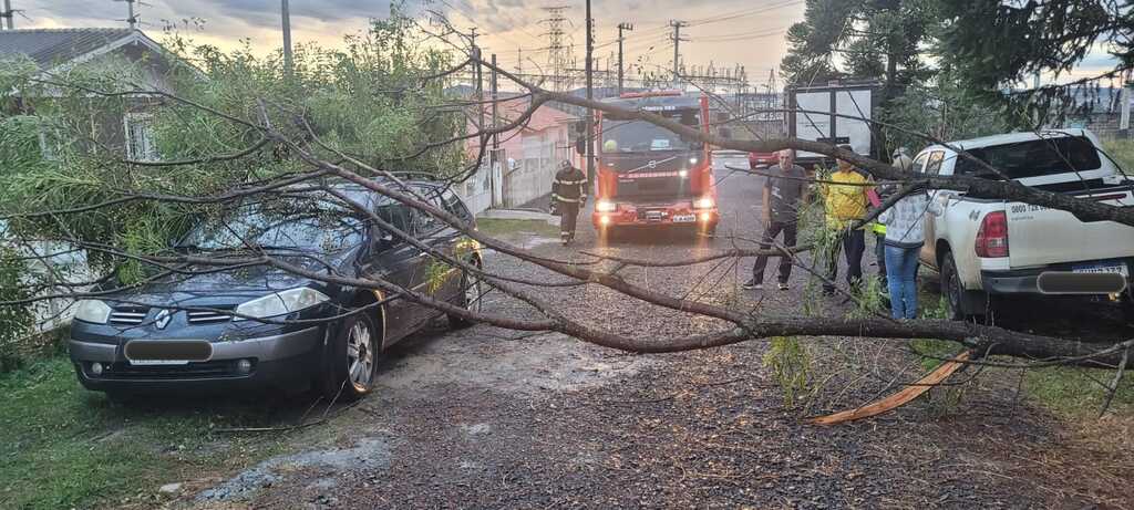 Árvore cai sobre veículo no Jardim Celina em Lages