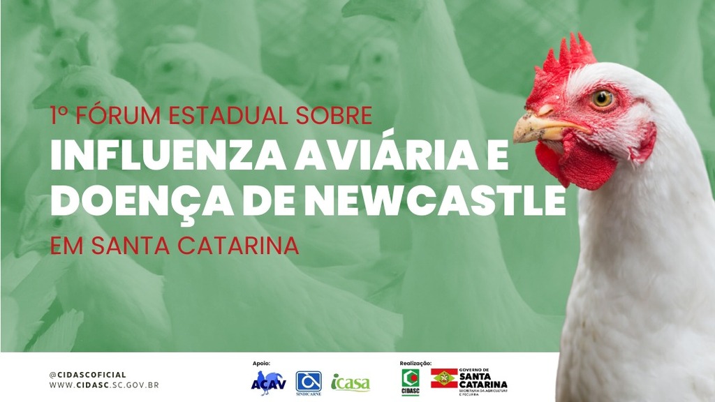 SC promove o 1º Fórum Estadual sobre Influenza Aviária e Doença de Newcastle nesta terça
