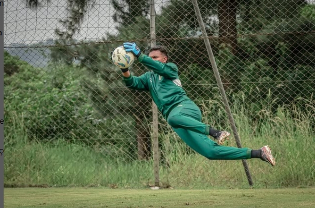 Futvida deve ser punido pelo TJD