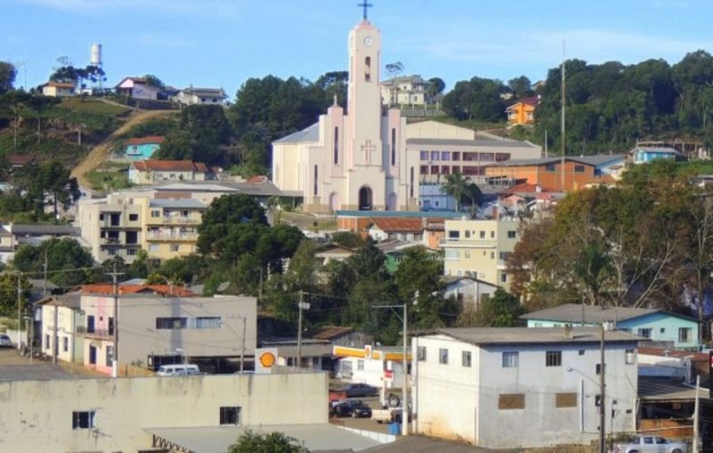 Novo mosquito da dengue é encontrado em Anita Garibaldi