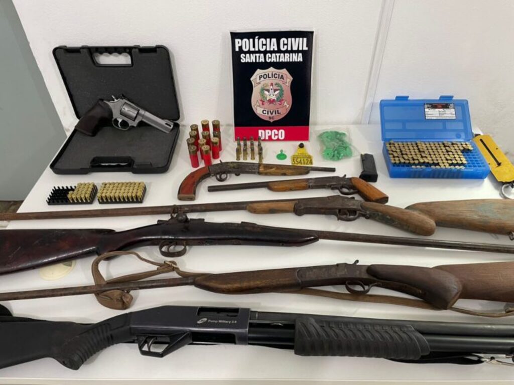 Polícia Civil apreende armas e investiga comércio ilegal de carne