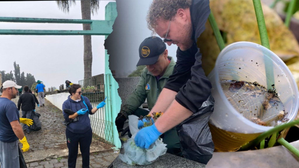 Dengue: focos do mosquito da dengue encontrados no cemitério municipal