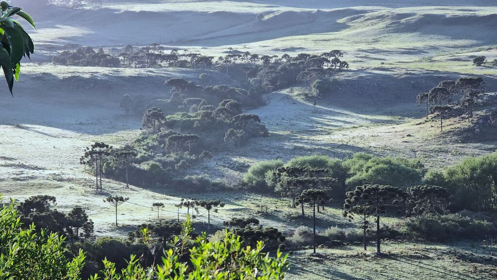 Última semana de maio será marcada pelo frio intenso