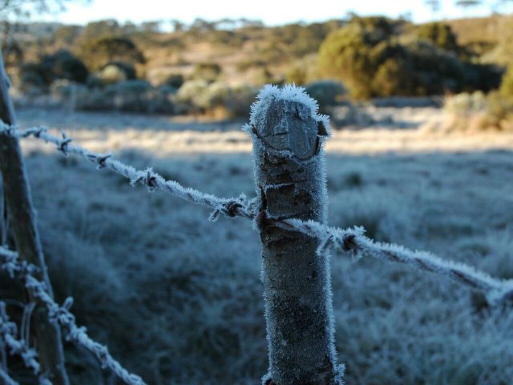 Primeira massa de ar polar chega a SC com frio intenso, possibilidade de neve e geada até o Litoral