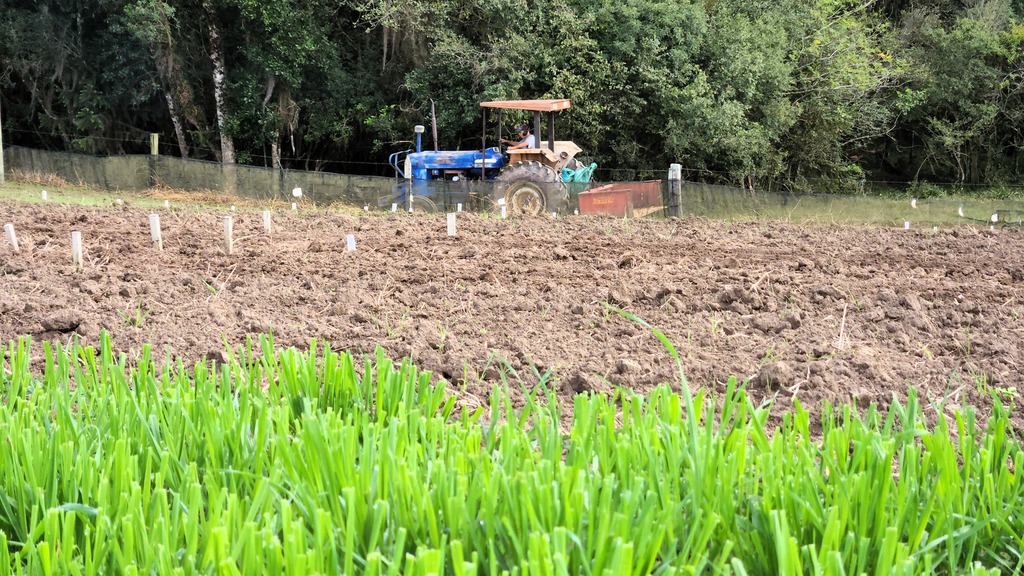  Pesquisa com pastagens transcende gerações de cientistas na Epagri 