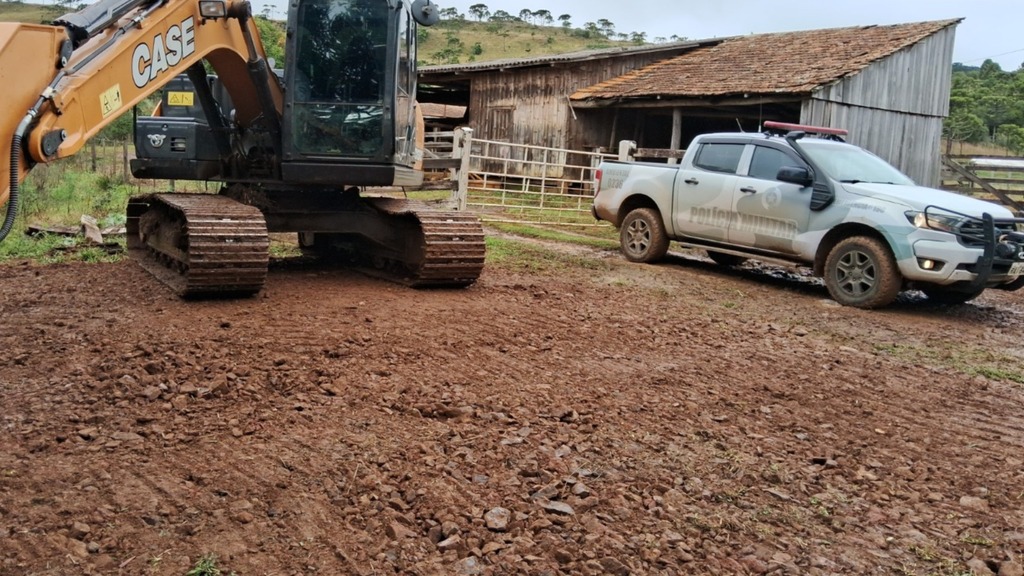 Corte ilegal de araucárias e intervenção em área de preservação são flagrados em São Joaquim