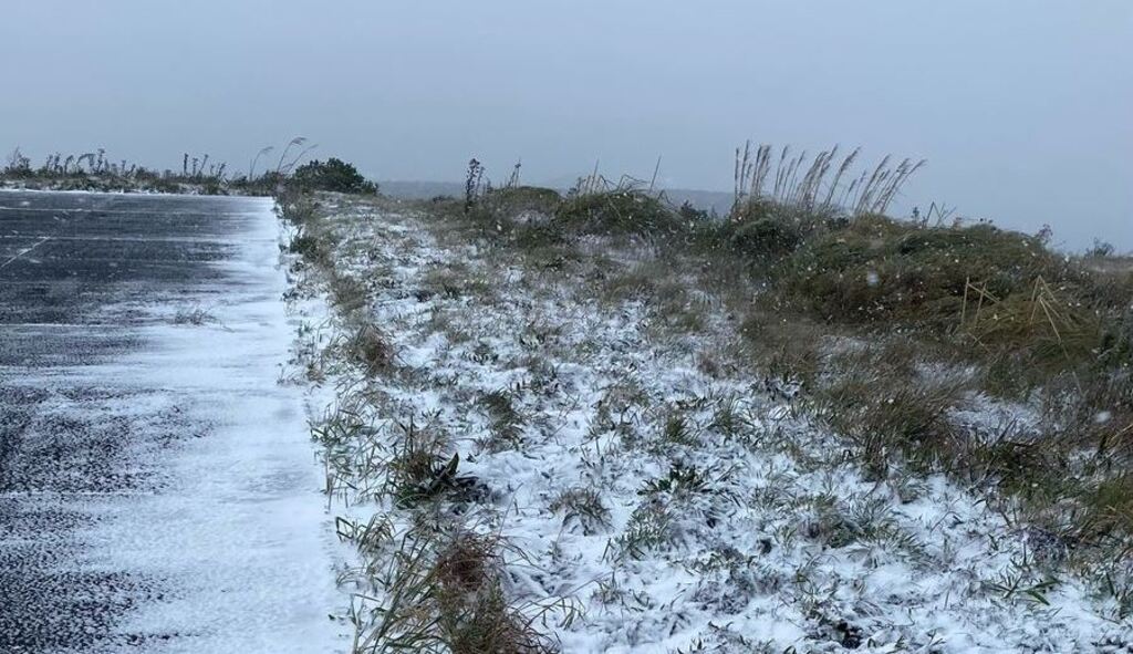 Cidade mais fria do Brasil registra a primeira neve do ano em SC