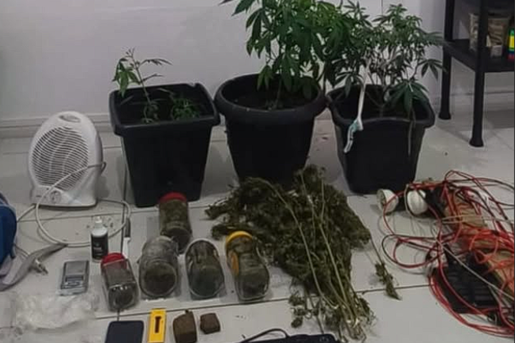 Foto: Divulgação PMSC - Perseguição de motocicleta termina em apreensão de plantação de maconha em Garopaba