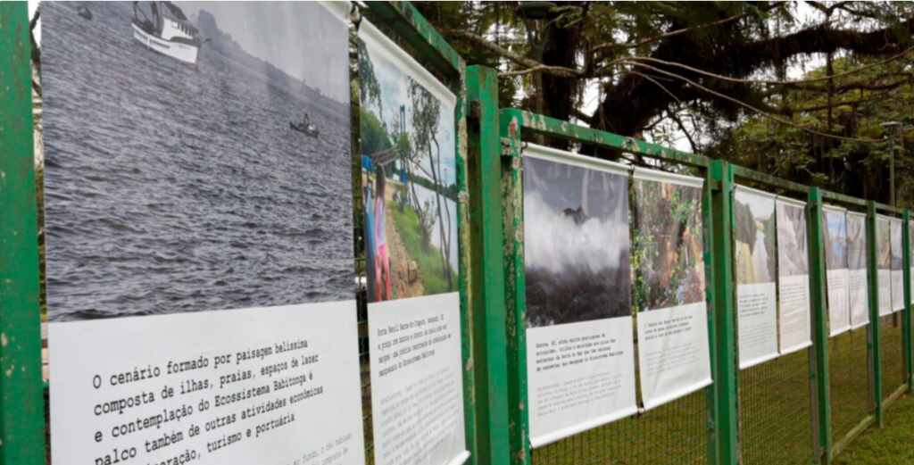 Casa da Cultura integra Semana do Meio Ambiente com exposição e cinema sobre a Baía Babitonga