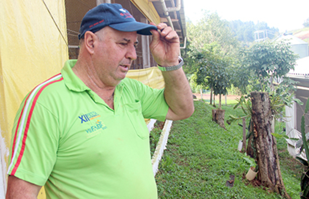 Núcleo tem  novo presidente