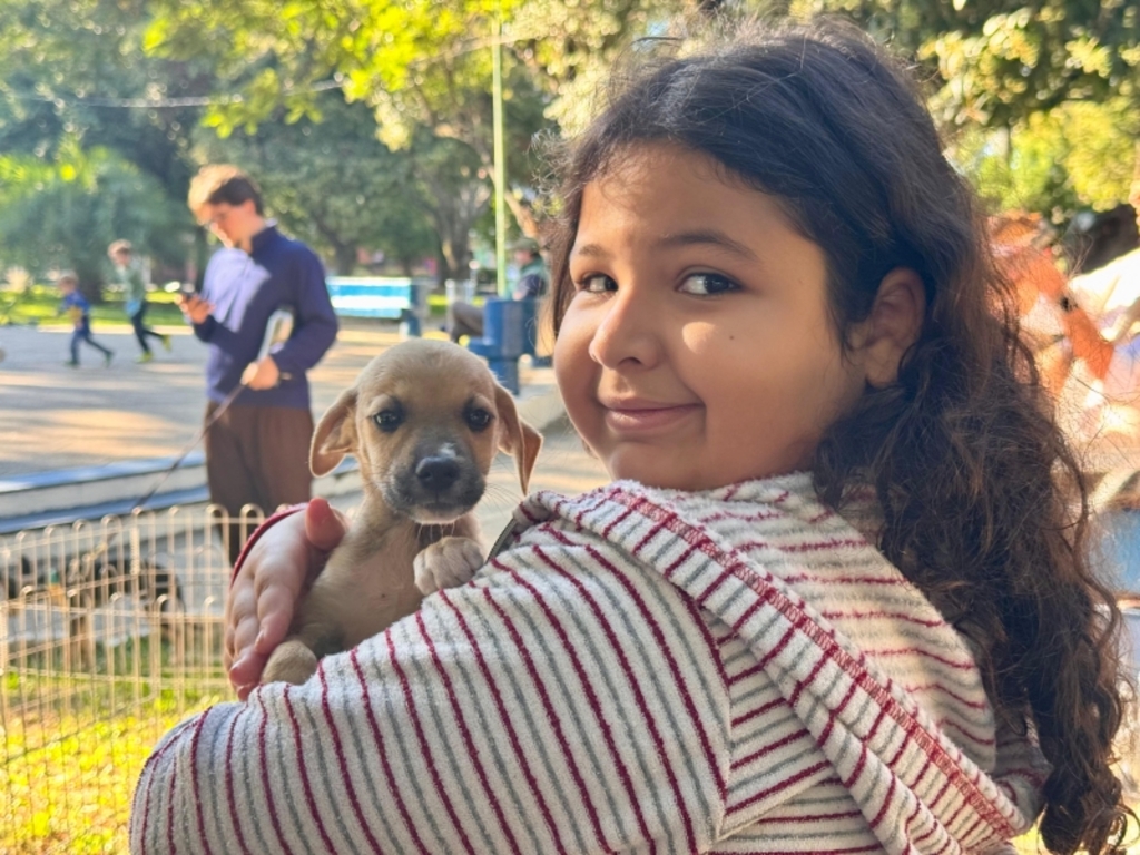 Praça terá feira de doação de cães no domingo