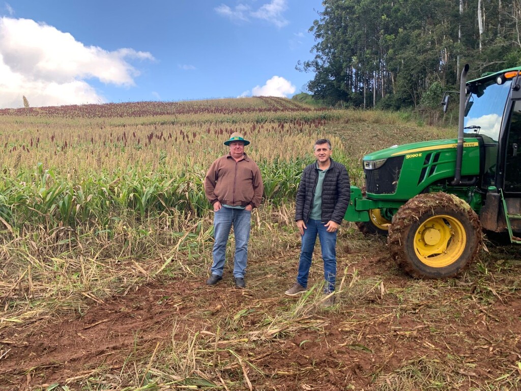 Prefeitura de Irati oferece serviço de silagem começando no plantio até o armazenamento no silo