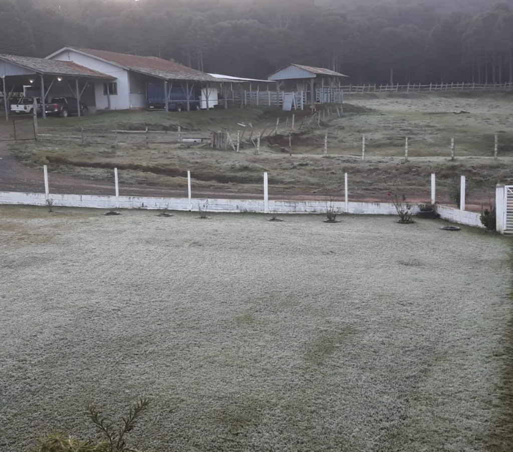 Temperaturas congelantes e geada marcaram o amanhecer de quarta-feira
