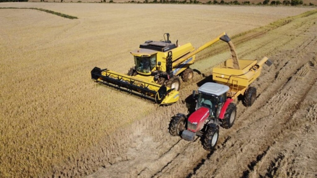 Uruguaiana é o maior produtor de arroz do RS nesta safra