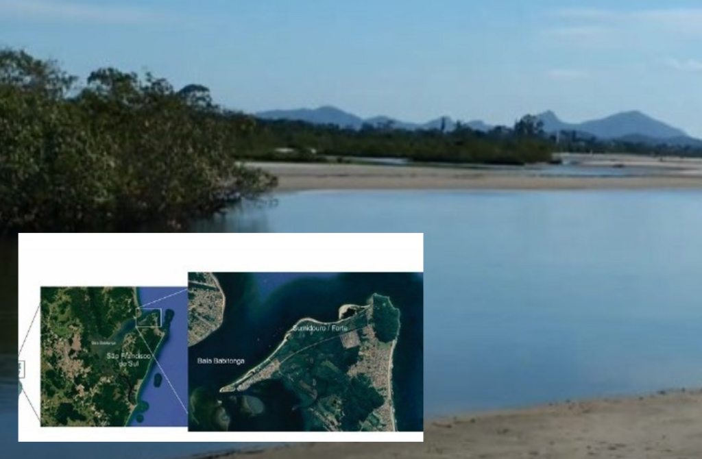 Disputa judicial sobre o Parque Natural Sumidouro em SFS contrapõe desenvolvimento portuário e preservação ambiental