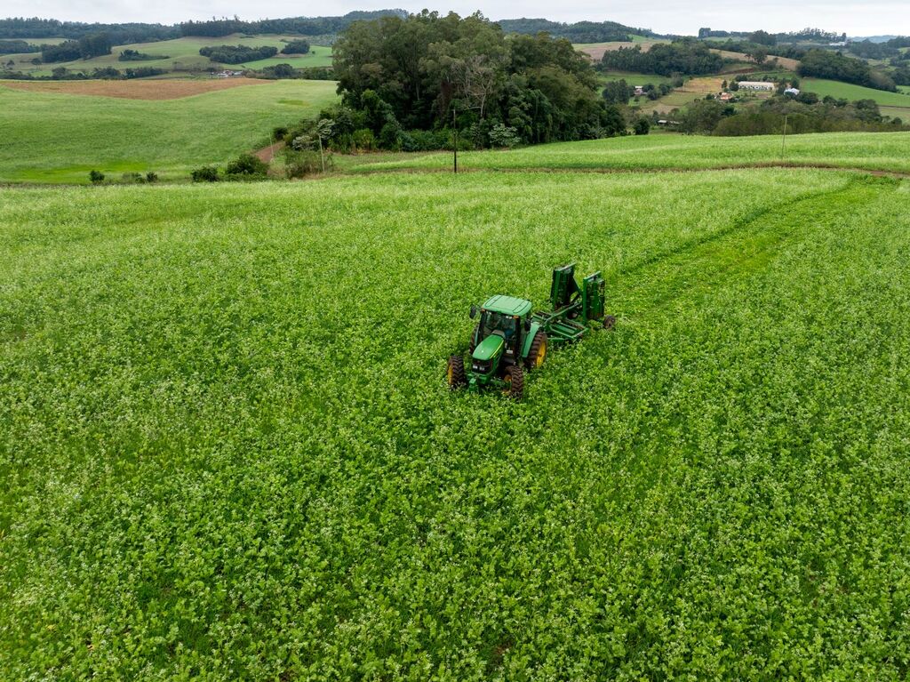 Santa Catarina investe em agricultura sustentável com distribuição de kits para cobertura vegetal