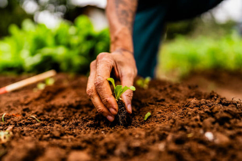 Senar promove evento para aumentar produtividade e sustentabilidade rural