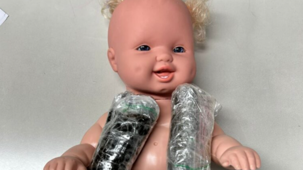 Foto: Divulgação Polícia Civil - Tráfico Reborn: boneca com haxixe é flagrada em centro dos Correios