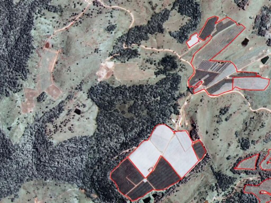 Mapeamento por satélite mostra crescimento dos pomares de maçã