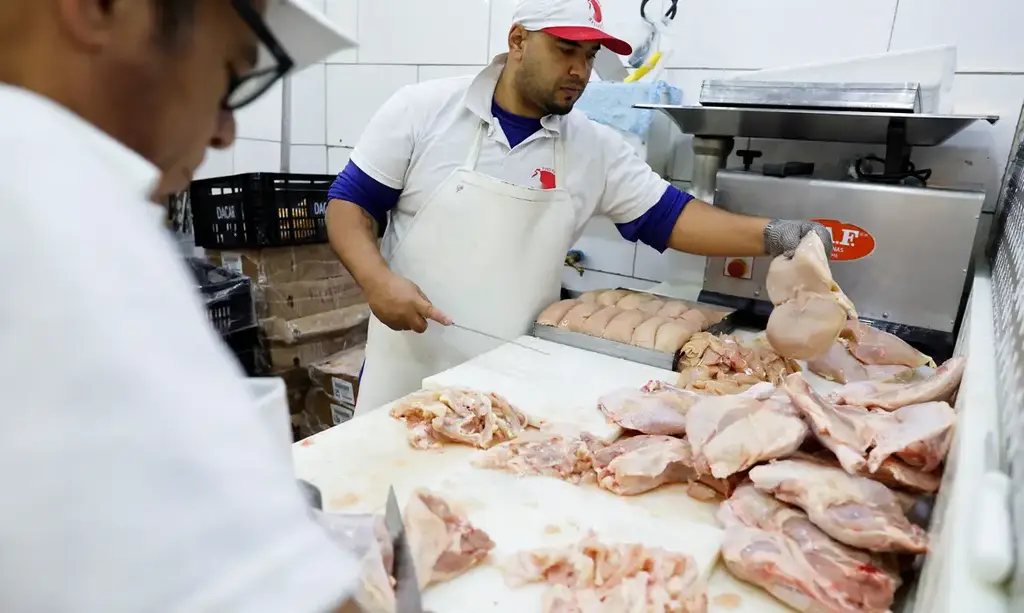 Brasil volta a ser país livre da gripe aviária