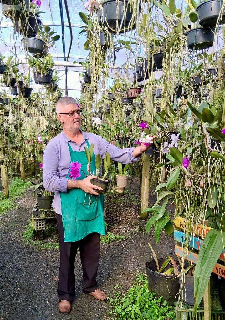 Dia do Orquidófilo celebra o encantamento pelas orquídeas e o convívio com a natureza