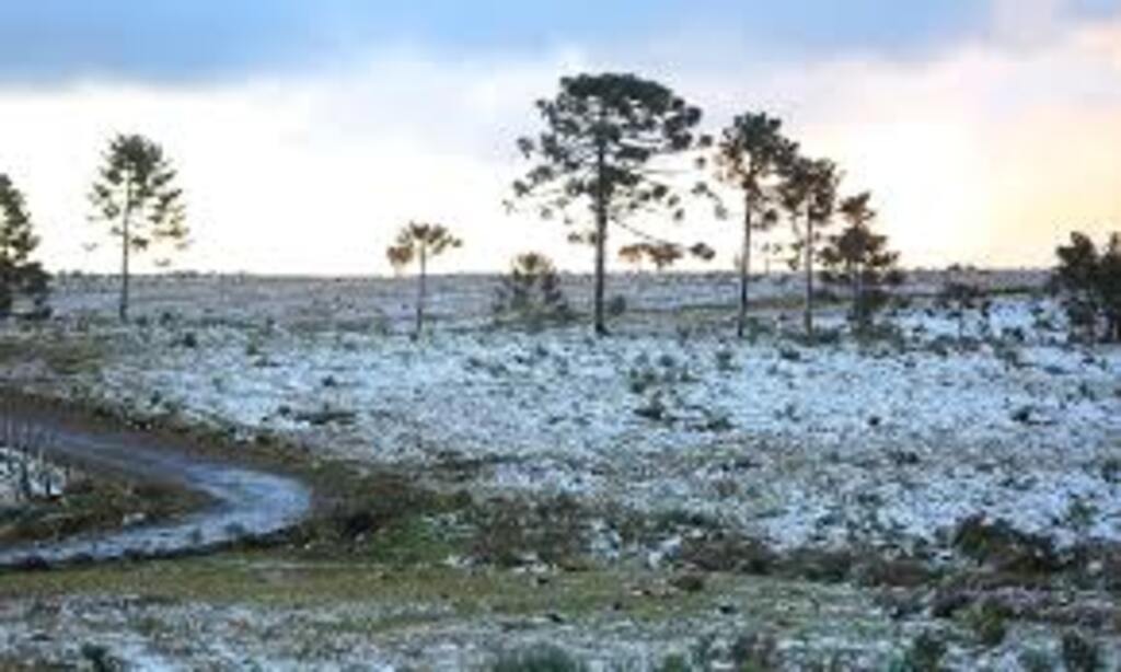 INVERNO 2025 EM SANTA CATARINA COMEÇA COM PREVISÃO DE FRIO INTENSO, GEADAS, NEVOEIROS E POSSIBILIDADE DE CHUVA NO LITORAL