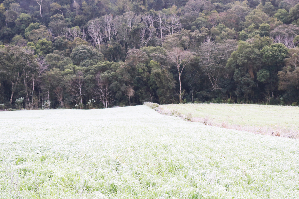 Frente fria avança no Sul e Oeste Catarinense se prepara para queda brusca de temperatura